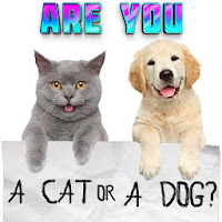 Test what cat or dog am I Ani