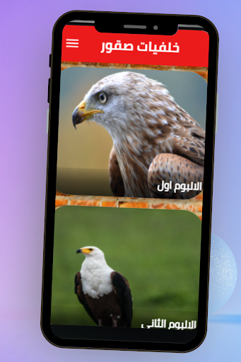 خلفيات صقور Screen 2