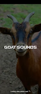 goat sounds