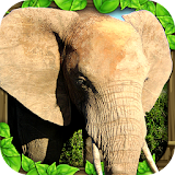 Elephant Simulator icon