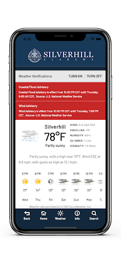 Town of Silverhill Screen 3