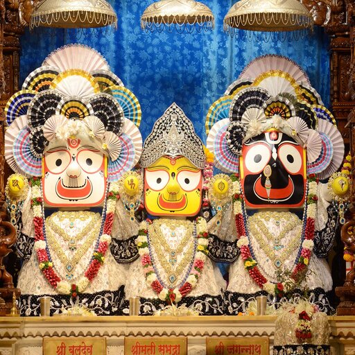 Sri Jagannath Bhagwan Katha logo