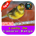 Cover Image of Download Canto De Canario Belga 1.3 APK