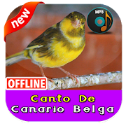 Canto De Canario Belga