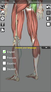 3D Bones and Organs (Anatomy) 5.3 Screenshots 16