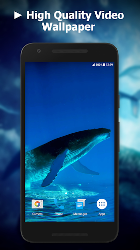 Android application Blue Whale Video Wallpapers screenshort