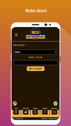 NDS Bullion Screen 3