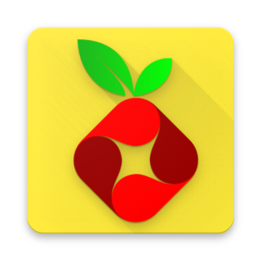Raspberry Pi Projects 2.2 Icon