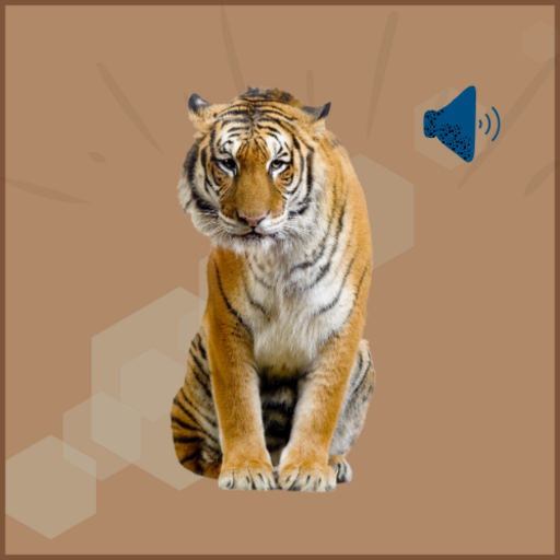 Tiger Sounds - Apps on Google Play