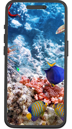 Fish Wallpapers Screen 2