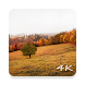秋の壁紙 4K - Androidアプリ