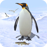 Penguin Simulator Bird Life icon