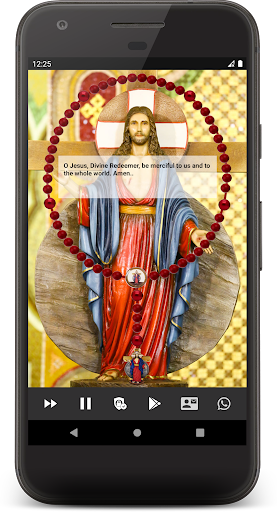 Holy Rosary Wounds Screen 3