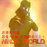 Ninja World icon