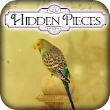 Hidden Pieces: Spring Garden icon