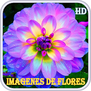 Imágenes de Flores