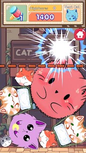 Cat Merge 5