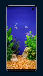 Aquarium Fish Wallpaper