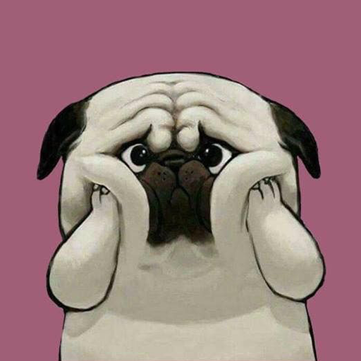 Dog HD Wallpapers Cute Puppy