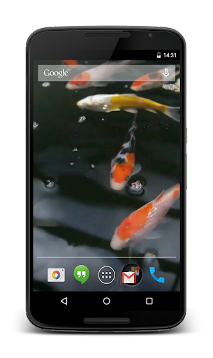 Koi Video Live Wallpaper Screen 3