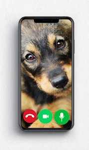 Dog call Prank