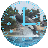 Killer Whale 2 Analog Clock icon
