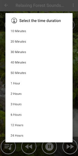 Forest Sound Nature and Sleep Screen 3