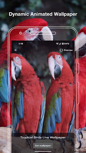 Tropical Birds Live Wallpaper Screen 2