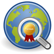 Search Engines | Premium  Icon