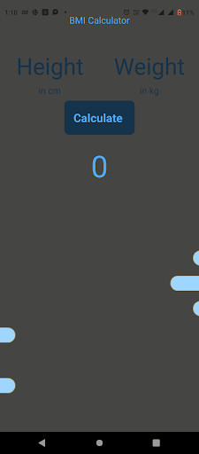 BMI Calc Screen 2
