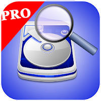 Diggerdisk PRO photo recovery