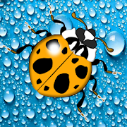 Top 21 Lifestyle Apps Like LadyBugs on water - Best Alternatives