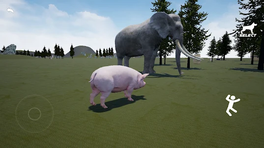 Animals World: Pig Simulator