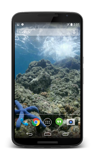 Sea Star Underwater Wallpaper Screenshot 4 - AppWisp.com