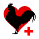 Poultry diseases - Androidアプリ