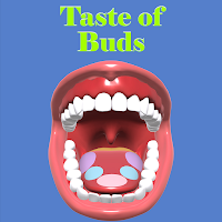 Taste Of Buds