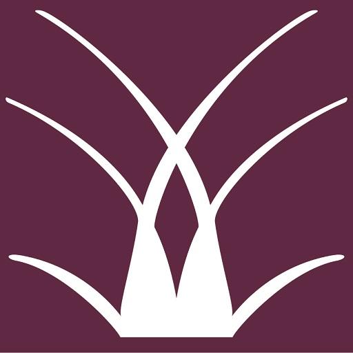eDelubac logo