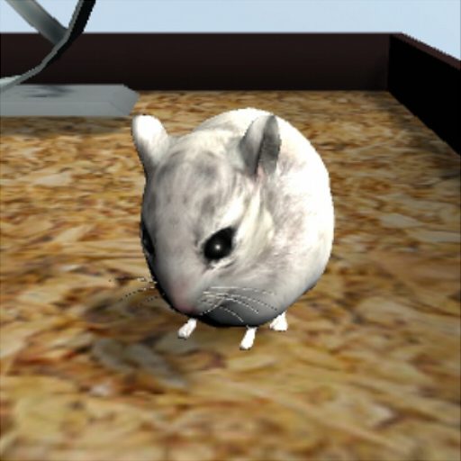 Hamster3D  Icon
