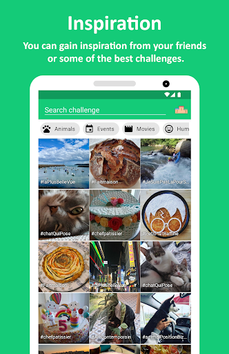 The App Crocodile: 100% photo Screenshot 2 - AppWisp.com