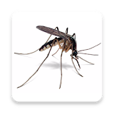 Mosquito Sound Prank icon