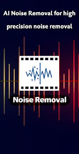 Video Noise Removal
