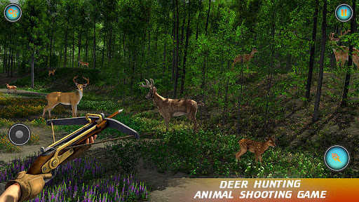 Hunting Sniper Shooting Games Screen 3