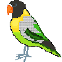 Birds Color by Number: Pixel Art, Sandbox Coloring