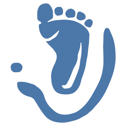Step Catcher logo