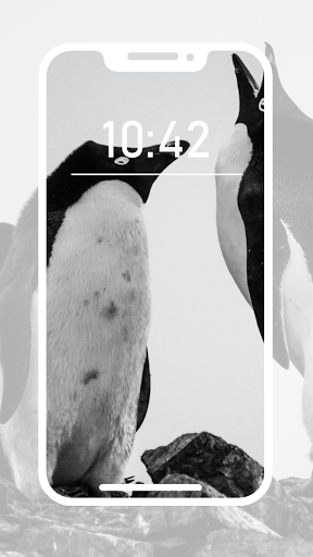 Penguin Wallpapers