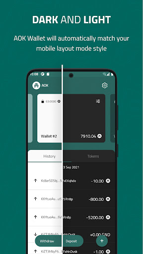 AOK Wallet Screen 3
