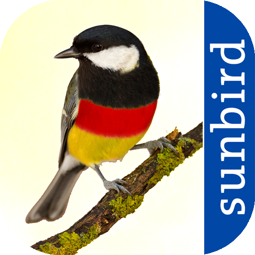 All Birds Germany  - Photo Gui 3.6 Icon