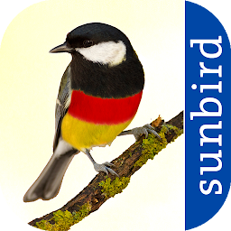 Icon image All Birds Germany  - Photo Gui