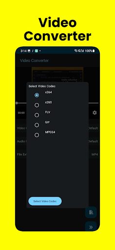 Audio Video converter