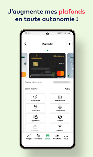 Bank-e Screen 3